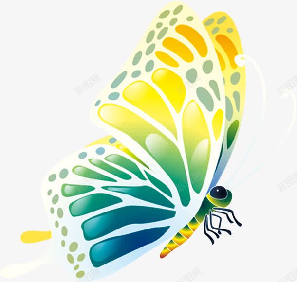 蓝黄色手绘斑点蝴蝶png免抠素材_新图网 https://ixintu.com 斑点 蝴蝶 黄色