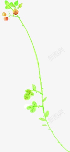 田园清新艺术植物png免抠素材_新图网 https://ixintu.com 植物 清新 田园 艺术