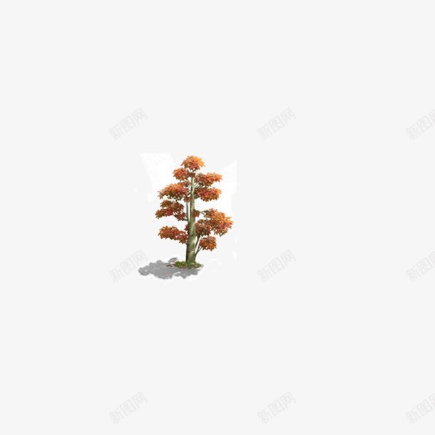 植被植物树黄红色png免抠素材_新图网 https://ixintu.com 树 植被植物 黄红色