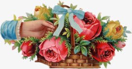 手绘花图标手绘花饰png免抠素材_新图网 https://ixintu.com 卡通素材 卡通花素材 唯美素材 手绘卡通花 手绘花图案