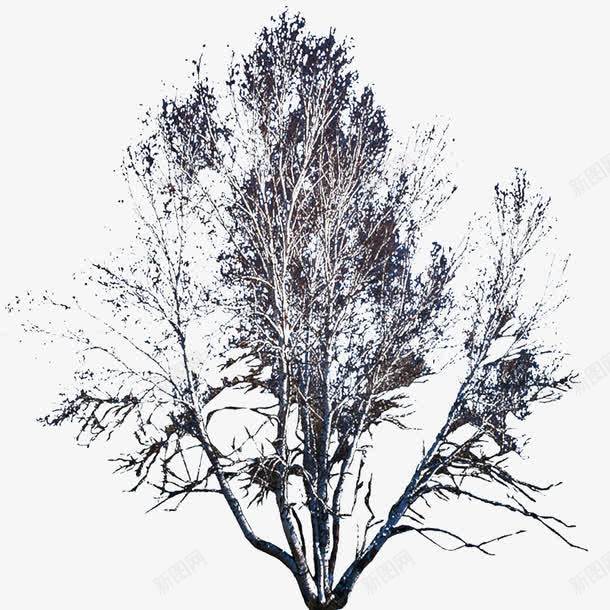 绿色植物背景树木png免抠素材_新图网 https://ixintu.com 手绘花朵图片 手绘花朵图片素材 手绘鲜花 抽象鲜 树木素材 植物 植物花卉 植物花卉素材 花