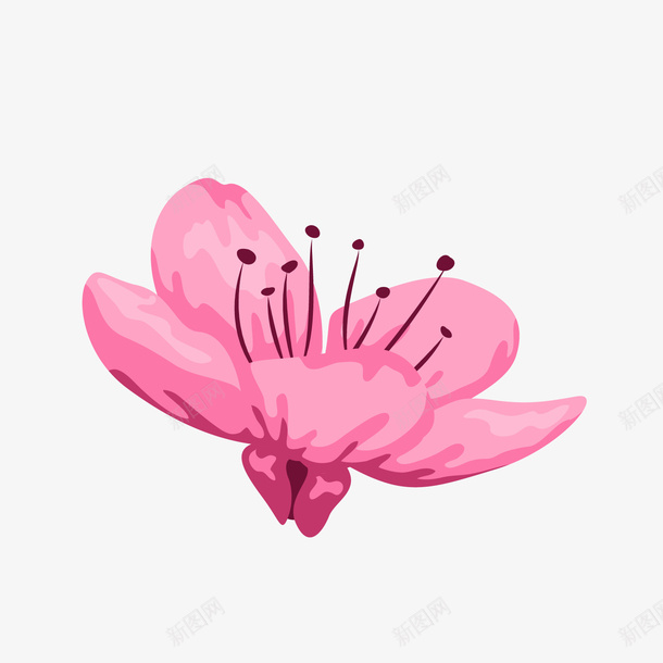 粉色手绘桃花png免抠素材_新图网 https://ixintu.com 卡通植物 卡通花朵 粉色桃花 粉色鲜花 背景装饰