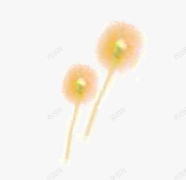 花卉元素png免抠素材_新图网 https://ixintu.com 花儿 花卉元素 蒲公英