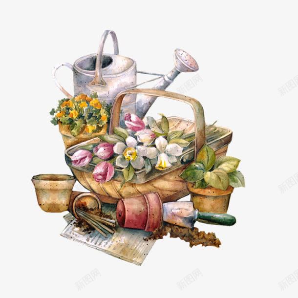 花和水壶篮子组成的景物插画png免抠素材_新图网 https://ixintu.com 插画 水壶 花朵 静物写生