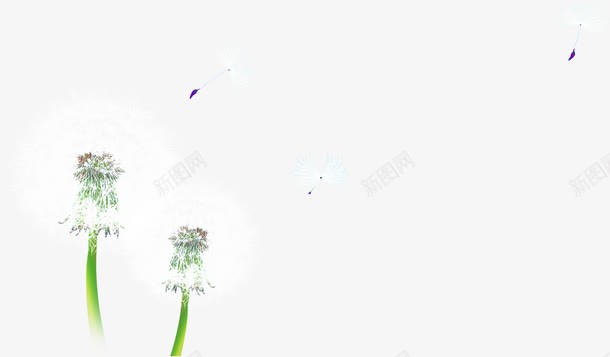 白色美景蒲公英花朵png免抠素材_新图网 https://ixintu.com 白色 美景 花朵 蒲公英