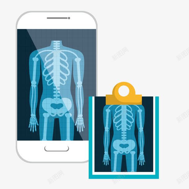 人体骨骼png免抠素材_新图网 https://ixintu.com 人体 手机 骨骼