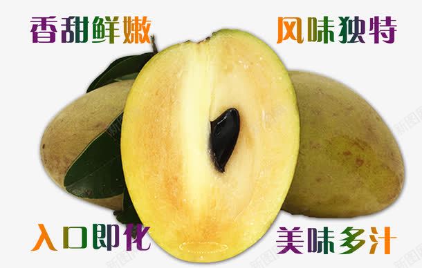 人心果psd免抠素材_新图网 https://ixintu.com 个大味美人参果 水果 进口水果人参果 鲜果