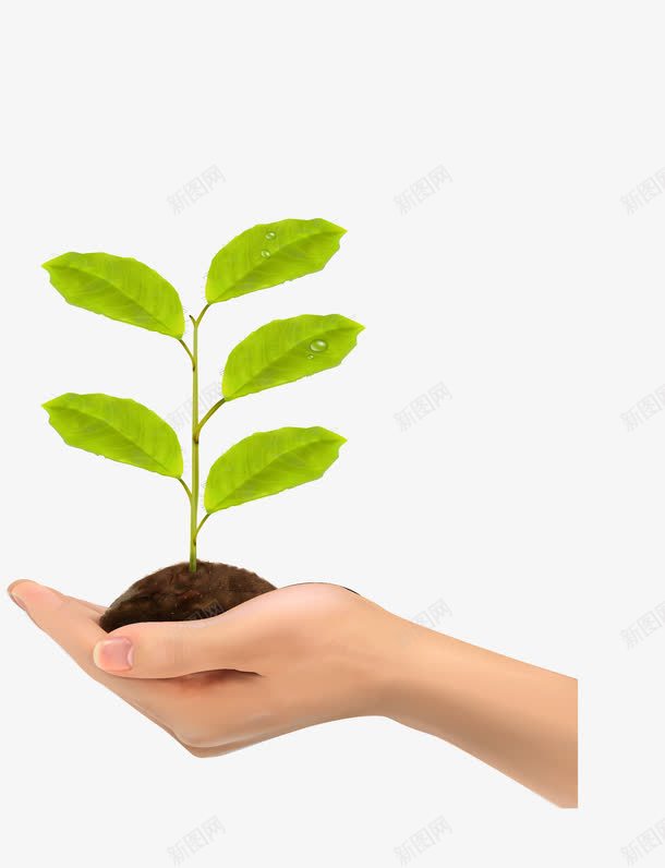 希望的树苗png免抠素材_新图网 https://ixintu.com 土壤 希望 手捧 树苗