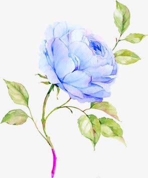 书蓝色花朵绿色树枝png免抠素材_新图网 https://ixintu.com 树枝 绿色 花朵 蓝色