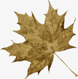 扣子花纹绳子圆框等彼岸桃花合成png免抠素材_新图网 https://ixintu.com 合成 圆框等 彼岸桃花 扣子 绳子 花纹