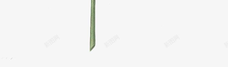 一簇水彩花png免抠素材_新图网 https://ixintu.com 手绘花朵 花 花束 花簇 卡通花卉 卡通花朵 水彩花卉 水彩植物 水彩花朵 清新植物 优雅花朵 优雅花卉 花卉植物 植物开花 花卉插画树叶 文化艺术绘画