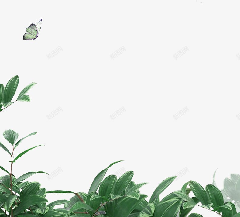 叶子草果蔬苹果花草树木花瓣png免抠素材_新图网 https://ixintu.com 叶子 果蔬 花瓣 花草树木 苹果 草