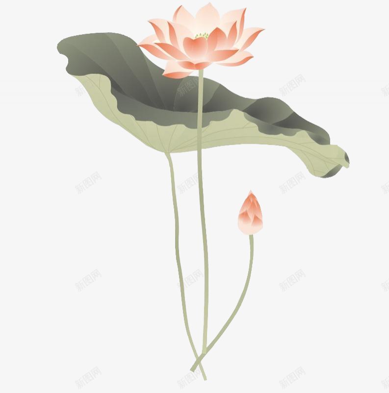 水墨荷花各种红木家具婚纱png免抠素材_新图网 https://ixintu.com 免扣各种红木家具 婚纱 水墨荷花