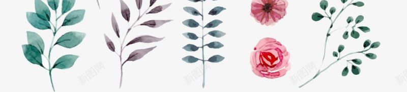 水彩花草动植物png免抠素材_新图网 https://ixintu.com 动植物 水彩花草