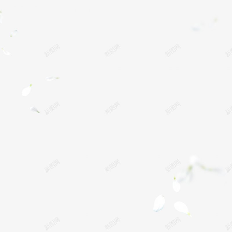 白色花瓣飘落漂浮壁纸花卉png免抠素材_新图网 https://ixintu.com 漂浮图片壁纸 白色 花卉 花瓣飘落