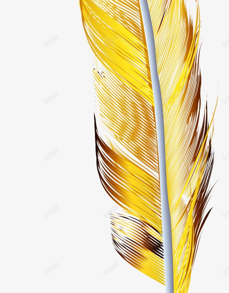 金色羽毛png免抠素材_新图网 https://ixintu.com 一根羽毛金色 羽毛 金羽毛 装饰 动物羽毛 翅膀羽毛