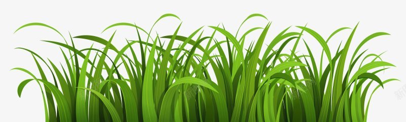 卡通图绿色小草草丛大自然生态春意盎然纯天然值得png免抠素材_新图网 https://ixintu.com 卡通 图 大自然 小草 春意盎然 生态 纯天然值得信赖 绿色 草丛 设计