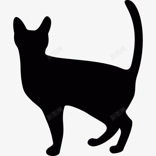 女巫猫动物2013年万圣节图标svg_新图网 https://ixintu.com 2013年万圣节 动物 女巫猫