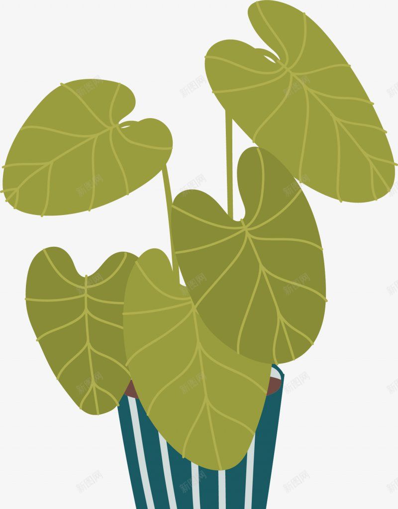 夏天绿色盆栽植物图绿植png免抠素材_新图网 https://ixintu.com 免扣绿植高清图片