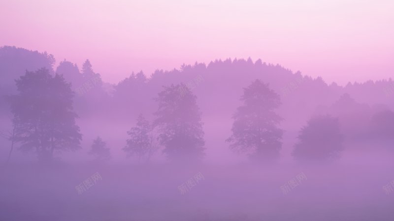 PinkForest天空白云蓝天白云合成场景天空蓝jpg设计背景_新图网 https://ixintu.com Forest Pink 合成 场景 天空 海水 海洋 白云 蓝天 蓝天白云