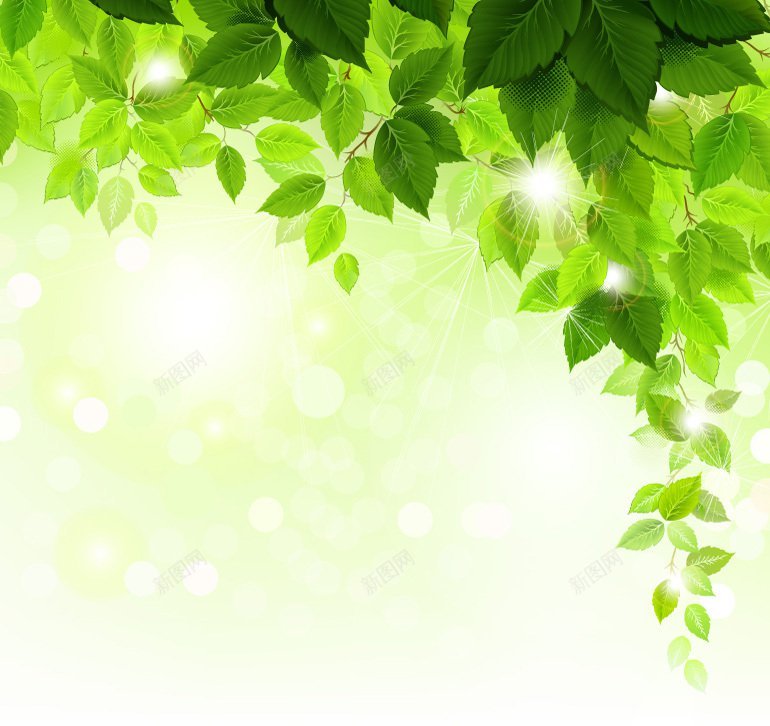 夏天精美树叶矢量树叶jpg设计背景_新图网 https://ixintu.com 夏天精美树叶矢量 树叶