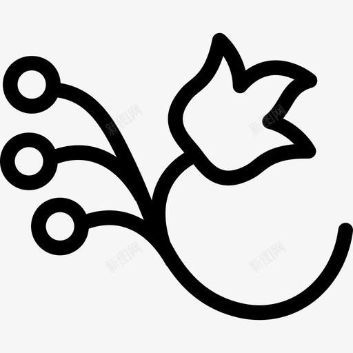 枝上有三粒种子的花自然的花的图案图标svg_新图网 https://ixintu.com 枝上有三粒种子的花 自然的 花的图案