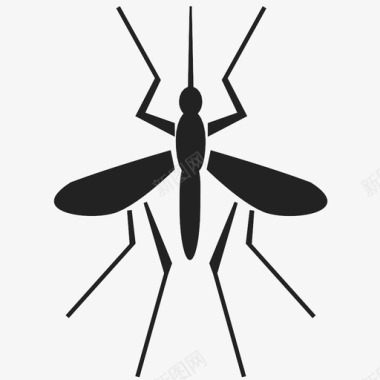 蚊子动物叮咬苍蝇昆虫图标图标