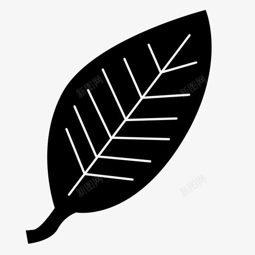 叶蕨类花园图标svg_新图网 https://ixintu.com 叶 植物 生长 绿色 自然 花园 蕨类