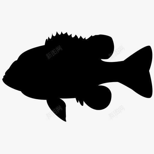 太阳鱼海洋动物海洋生物水图标svg_新图网 https://ixintu.com 太阳鱼 水 海洋动物 海洋生物