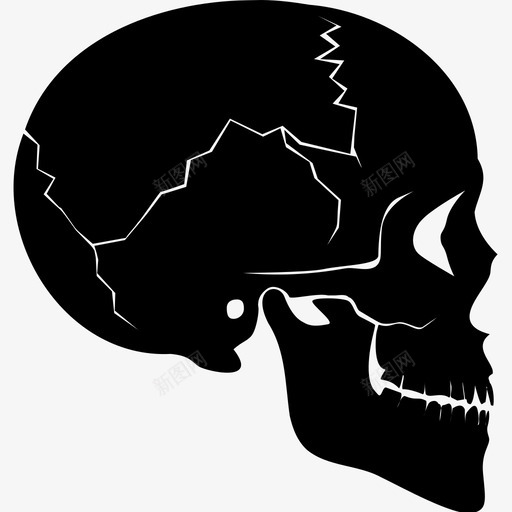 头骨骨骼撕裂图标svg_新图网 https://ixintu.com 人头骨 人骨 头骨 撕裂 死亡 解剖学 颅骨骨折 骨骼