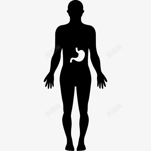 人体内的胃人身体各部分图标svg_新图网 https://ixintu.com 人 人体内的胃 身体各部分