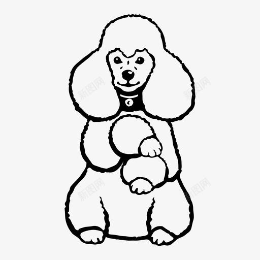 贵宾犬训练有素小狗图标svg_新图网 https://ixintu.com 宠物 家养动物 家养宠物 小狗 白色贵宾犬 训练有素 训练有素的狗 贵宾犬