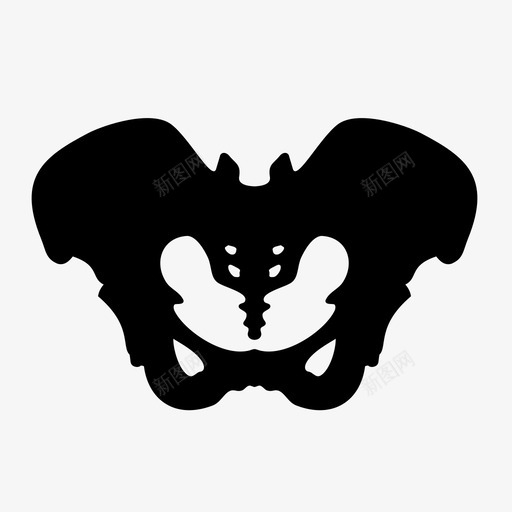 骨盆研究骨骼图标svg_新图网 https://ixintu.com 人体部位 人体骨盆 人体骨骼 医学 研究 科学 身体部位 骨盆 骨骼