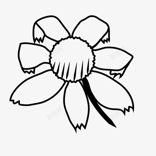来自卡罗莱纳州的花植物和花图标svg_新图网 https://ixintu.com 来自卡罗莱纳州的花 植物和花