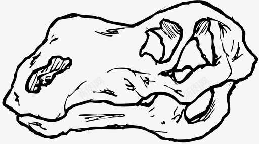鸭嘴龙头骨头骨三角龙图标svg_新图网 https://ixintu.com 三角龙 动物头骨 古生物学 古生物学家 头骨 恐龙化石 恐龙头骨 恐龙恐龙 死恐龙 雷克斯 鸭嘴龙头骨