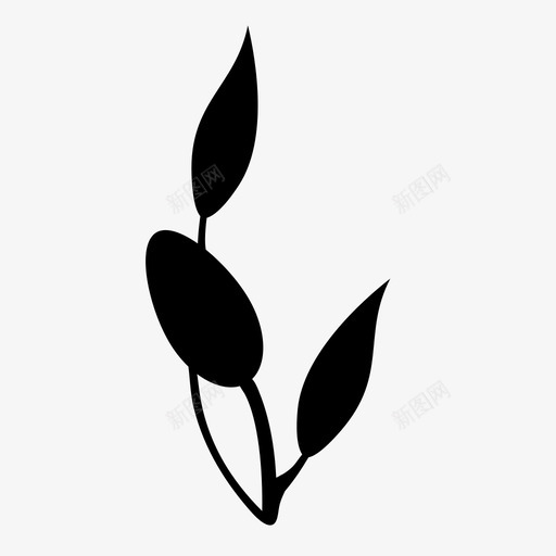植物橄榄植物橄榄枝图标svg_新图网 https://ixintu.com 叶 园艺 天然 植物 橄榄枝 橄榄植物 绿色 自然