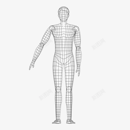 人体3d图标svg_新图网 https://ixintu.com 人体3d