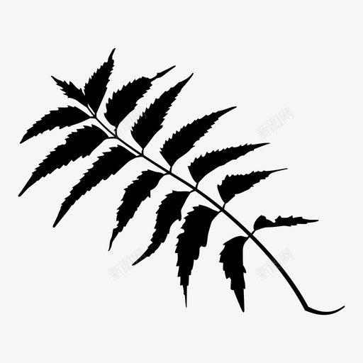 印楝健康草本图标svg_新图网 https://ixintu.com 健康 印楝 叶 有机 植物 生命 自然 草本