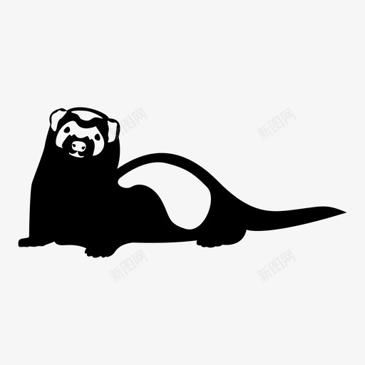 雪貂鼬鼠尾巴图标svg_新图网 https://ixintu.com 动物 啮齿动物 宠物 尾巴 毛皮 粪便 脚 脸 貂皮 雪貂 鼬鼠