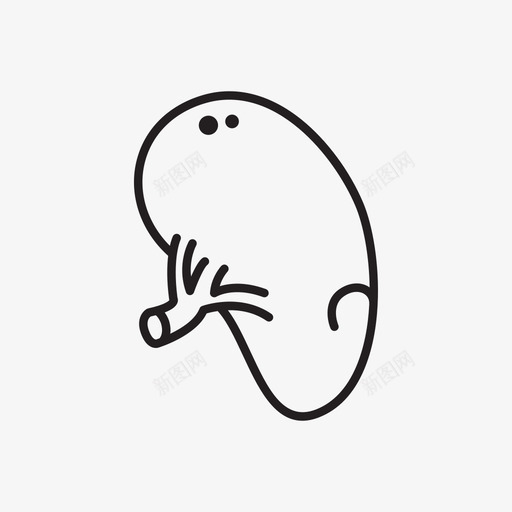脾解剖健康图标svg_新图网 https://ixintu.com 32个器官 健康 内脏 器官 肾脏 脾 药物 解剖
