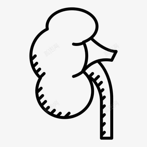 肾脏泌尿系统分泌物图标svg_新图网 https://ixintu.com 人 分泌物 器官 尿液 泌尿系统 消化 肾脏 解剖学 身体部位