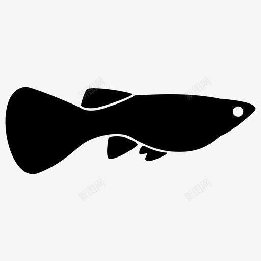 鱼水族馆小鱼图标svg_新图网 https://ixintu.com 小鱼 水族馆 鱼