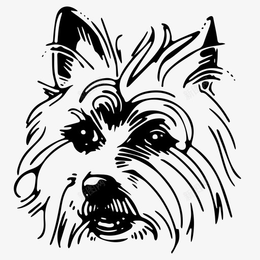 澳大利亚梗类纯种毛皮图标svg_新图网 https://ixintu.com akc akc犬类 动物类 家养 梗类 毛皮 澳大利亚梗类 犬类 纯种