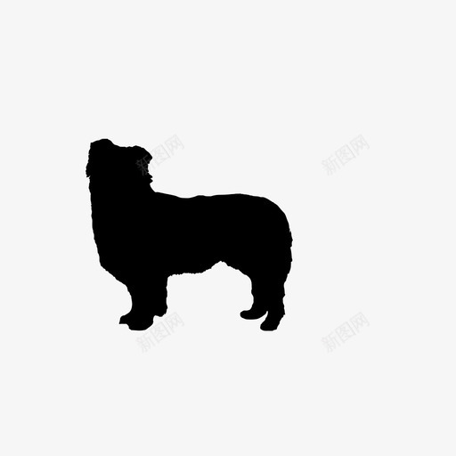 边境牧羊犬犬种图标svg_新图网 https://ixintu.com 犬种 边境牧羊犬