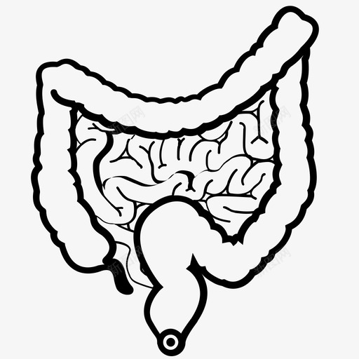 肠消化食物图标svg_新图网 https://ixintu.com 人 便便 吸收剂 消化 粪便 肠 营养 食物