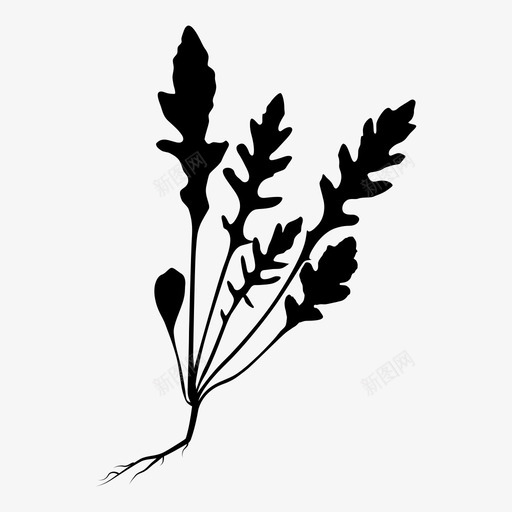 芝麻菜宇宙植物图标svg_新图网 https://ixintu.com 叶子 宇宙 带子 植物 绿色 缓存 编织 芝麻菜 蔬菜 蝴蝶结