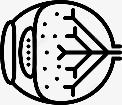球状眼见医学图标svg_新图网 https://ixintu.com 健康 全球 医学 球状眼 眼球 粉碎图标医学大纲 见 视力 身体