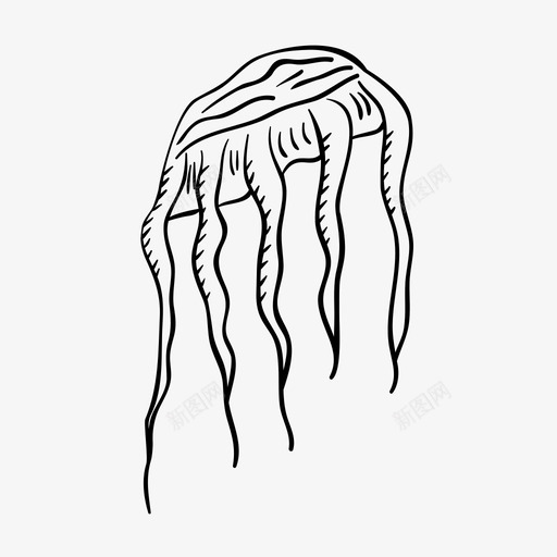 水母动物生物图标svg_新图网 https://ixintu.com 刺 动物 植物花 水 水母 海 海洋 生物 触须