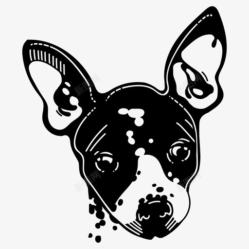 美国无毛梗akc犬科图标svg_新图网 https://ixintu.com akc akc犬类 宠物 小型 无过敏 犬科 犬类 美国无毛梗