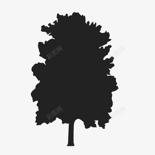 枫木图标svg_新图网 https://ixintu.com 枫木